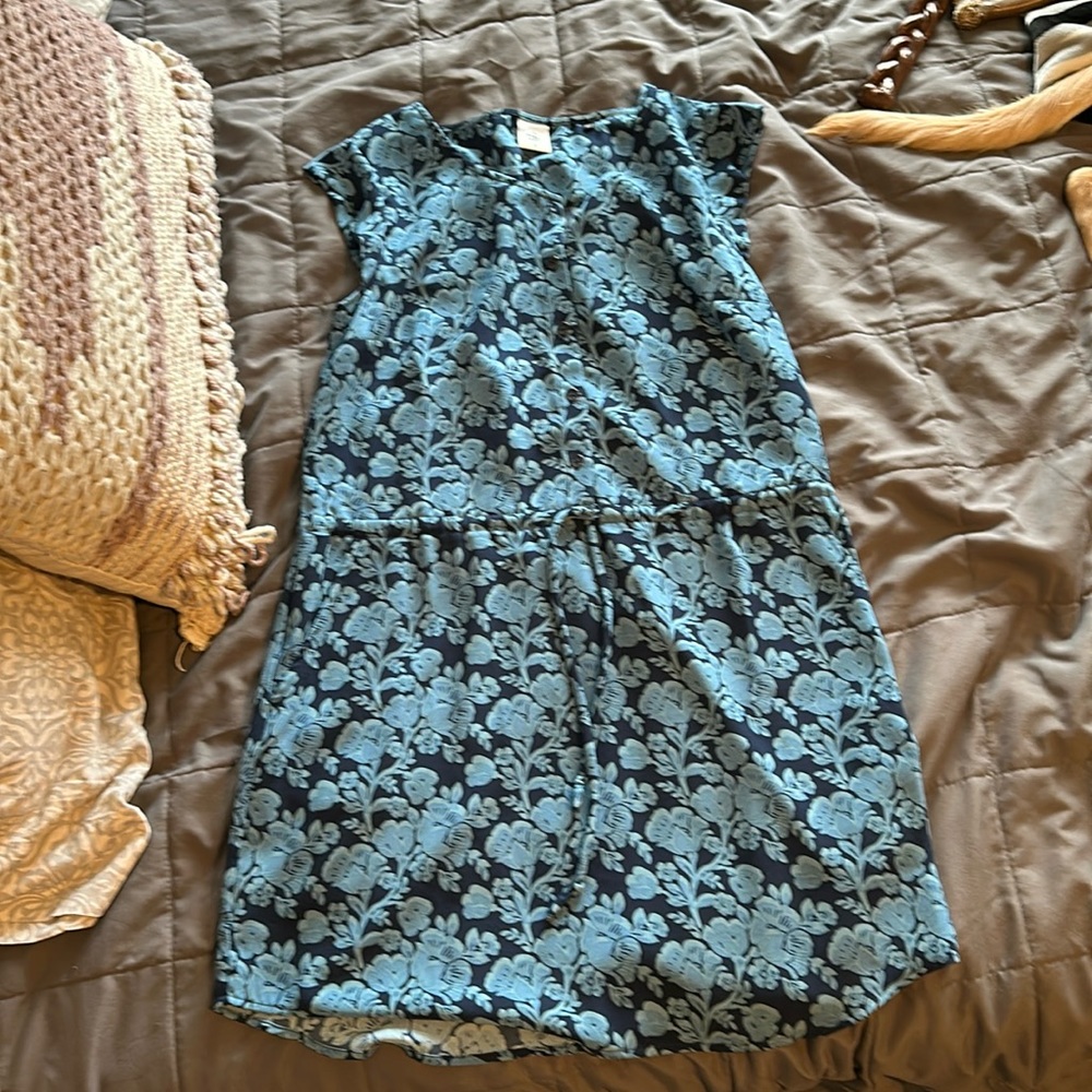 CAbi dress